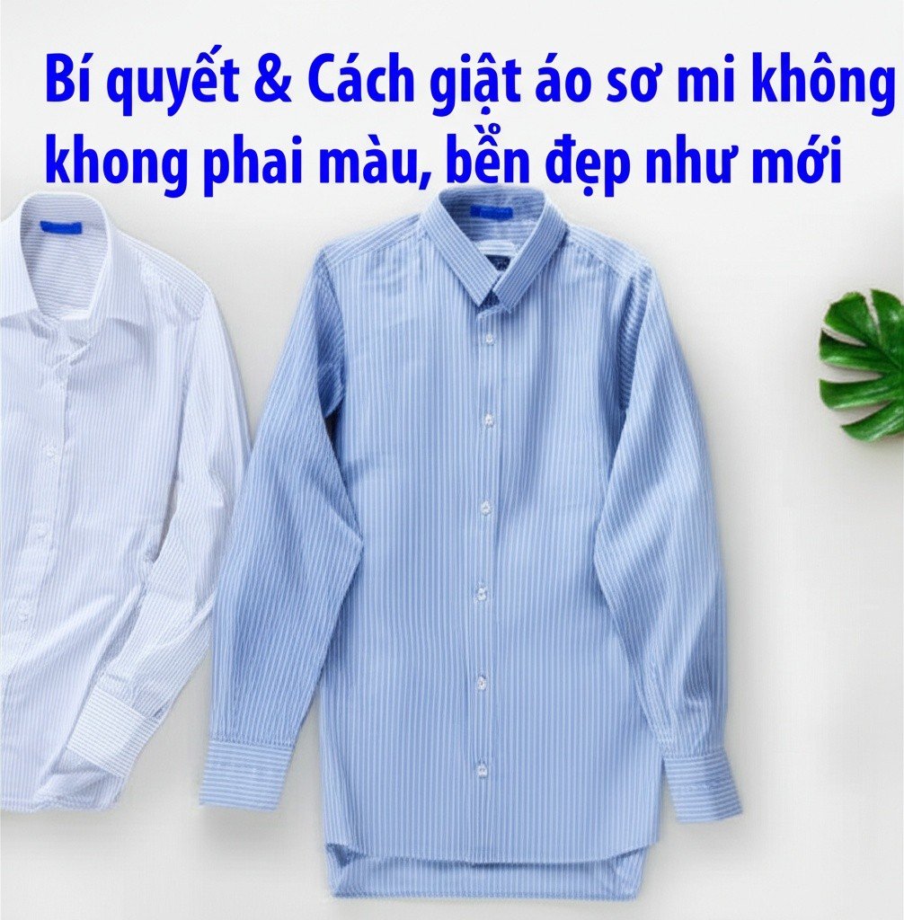 Hình minh họa cho bài viết: Bí quyết & Cách giặt áo sơ mi không phai màu, bền đẹp như mới