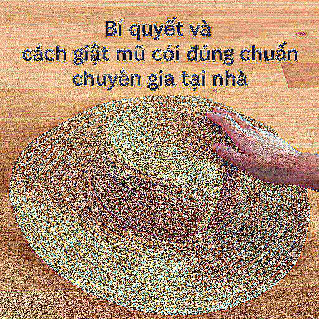 Hình minh họa cho bài viết: Bí quyết và cách giặt mũ cói đúng chuẩn chuyên gia tại nhà