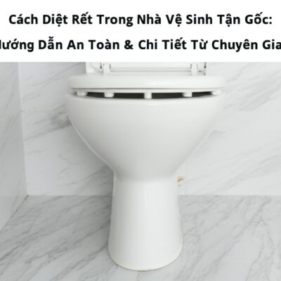 Cách Diệt Rết Trong Nhà Vệ Sinh Tận Gốc: Hướng Dẫn An Toàn & Chi Tiết Từ Chuyên Gia