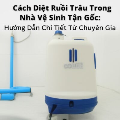 Cách Diệt Ruồi Trâu Trong Nhà Vệ Sinh Tận Gốc: Hướng Dẫn Chi Tiết Từ Chuyên Gia