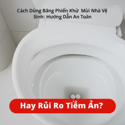 Cách Dùng Băng Phiến Khử Mùi Nhà Vệ Sinh: Hướng Dẫn An Toàn Hay Rủi Ro Tiềm Ẩn?