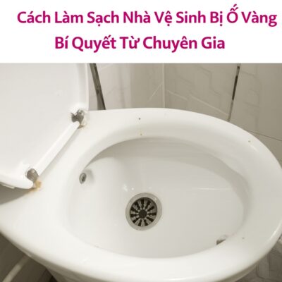 Cách Làm Sạch Nhà Vệ Sinh Bị Ố Vàng: Bí Quyết Từ Chuyên Gia