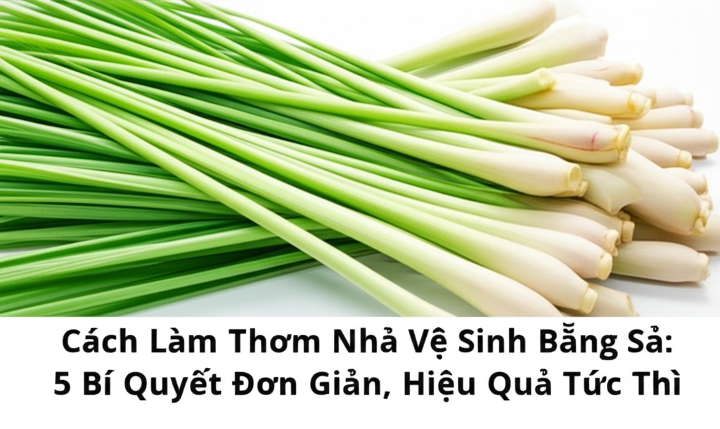 Hình minh họa cho bài viết: Cách Làm Thơm Nhà Vệ Sinh Bằng Sả: 5 Bí Quyết Đơn Giản, Hiệu Quả Tức Thì
