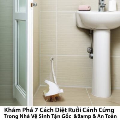 Khám Phá 7 Cách Diệt Ruồi Cánh Cứng Trong Nhà Vệ Sinh Tận Gốc & An Toàn